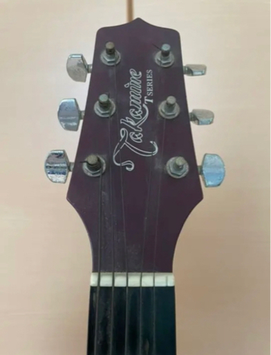 タカミネT-P2 STR Takamine タカミネ アコースティックギター T-P2 STR Tシリーズ