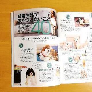 知って得する！知恵袋ブック「愛犬を長生きさせるコツ」宝島社の画像