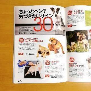 知って得する！知恵袋ブック「愛犬を長生きさせるコツ」宝島社の画像