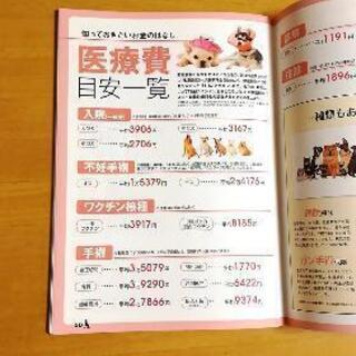 知って得する！知恵袋ブック「愛犬を長生きさせるコツ」宝島社の画像