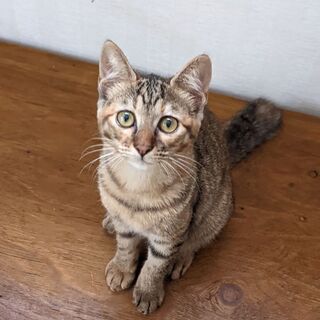 生後4ヶ月前後