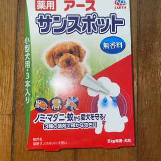 アースサンスポット