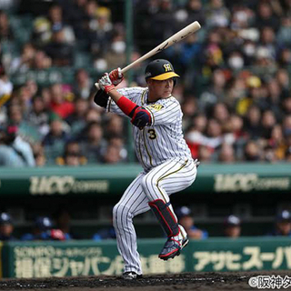 阪神ファンの方募集
