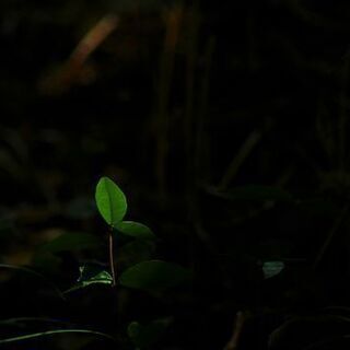 写真友だち募集