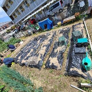 東大阪市花園でマイファーム作りませんか？