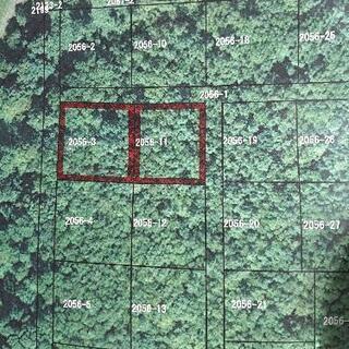共和町　605坪　土地　　決まりました。ありがとうございます。