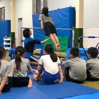 四街道体操教室！9/20祝日体験会 申込受付中【VIALEジュニアスクール】の画像