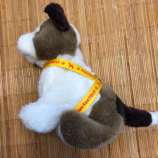 クンクン　テリーの画像