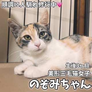 沢山のお問い合わせありがとうございました。アイラインくっきり美形...