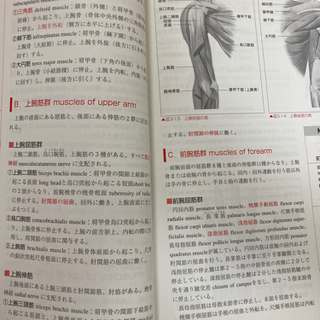 新クイックマスター　解剖生理学　改訂2版　竹内修二　医学芸術社の画像