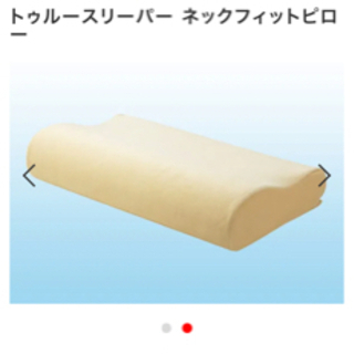 トゥルースリーパー　掛け布団と枕の画像