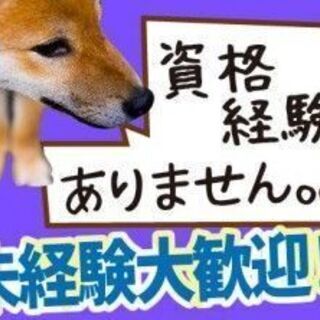 【短期･派遣】3か月程度の短期！簡単軽作業で夜勤専属！稼げる短期...