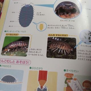 幼児絵本の画像