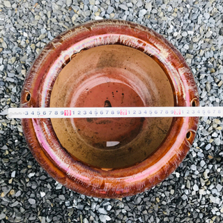 鉢　売りますの画像