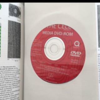 【8/20昼12:00まで受取で1000円】Molecular Biology of the Cell 5th ハードカバーの画像