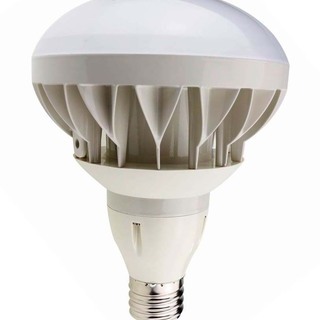 売り尽くし 特価品 E39 LED バラストレス 500W相当 ...