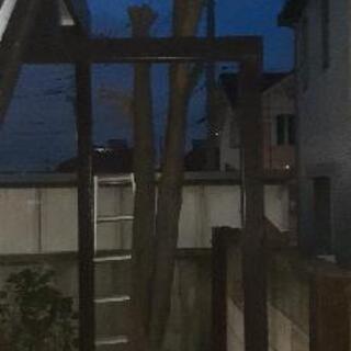 薪 枝や丸太等生木 木材　の画像