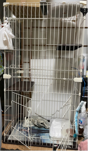 【急募】猫用 二段ハウス