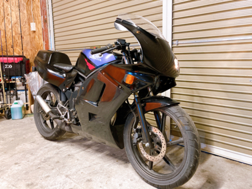 ホンダ　NS-1 後期　フルカウル　配送可能　支払いは現金or振り込みも可能