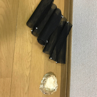 (手渡し限定無料)デュビアオールサイズの画像