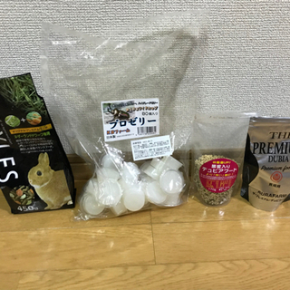 (手渡し限定無料)デュビアオールサイズの画像