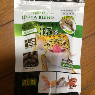 昆虫食爬虫類用フード