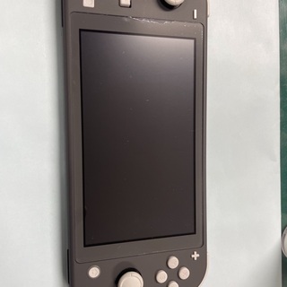 NINTENDO Switch Lite 注意事項必読