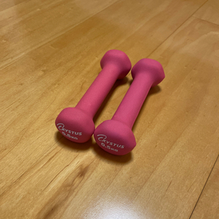 ダンベル　500g