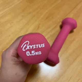 ダンベル　500gの画像