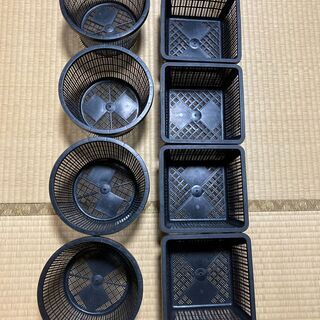 池用植物かご