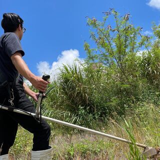 日払い可能！日当１５０００円！木の伐採のための高所作業車オペレーター業務！の画像