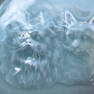 猫の陶器皿②の画像