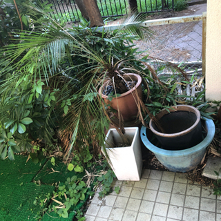 【無料】植木鉢、プランター、イケアプランターウォール