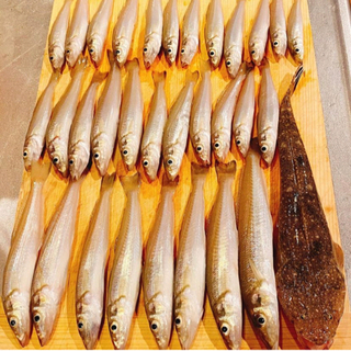 魚釣り🎣　道具貸し出し&教えます‼️