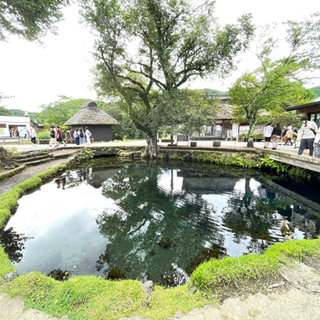 山中湖、忍野八海辺りで交流したいでーす٩(ˊᗜˋ*)و