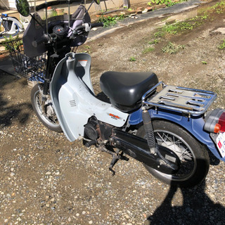 スズキ　バーディー50
