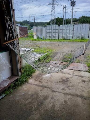 ハンモック