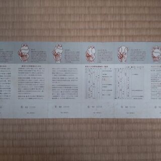 【レア】六大学野球第100回記念乗車券の画像