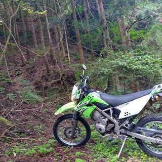 カワサキ　KLX125　極上