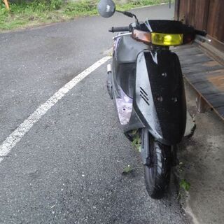 スズキセピア