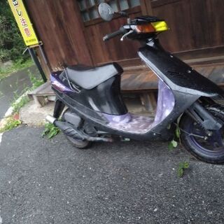 スズキセピアの画像