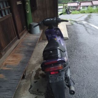 スズキセピアの画像