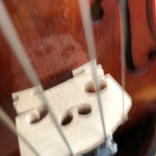 vivaldi 子供用のバイオリン※値下げしました！　9月15日締め切りの画像