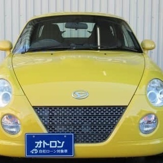 目立ってなんぼです、黄色はの画像