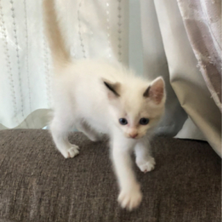 里親さん決まりました！