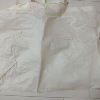 JILLSTUARTジルスチュアートエコバッグの画像