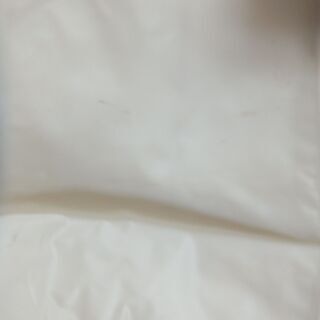 JILLSTUARTジルスチュアートエコバッグの画像