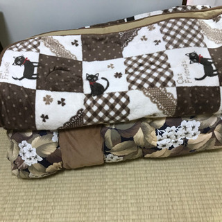 きれいなこたつの画像