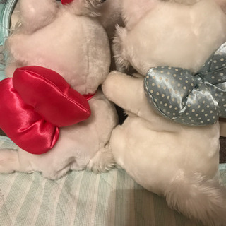 マリーちゃん☆手遊びぬいぐるみ2個セットの画像