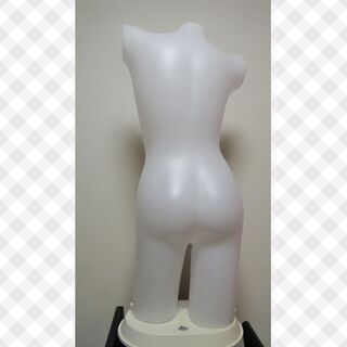 光る 電飾 トルソー 11号 スタイル抜群 マネキン レディス トルソー 照明 商品 ディスプレイ 店舗 軽量 ランジェリー お洒落 ライトアップの画像